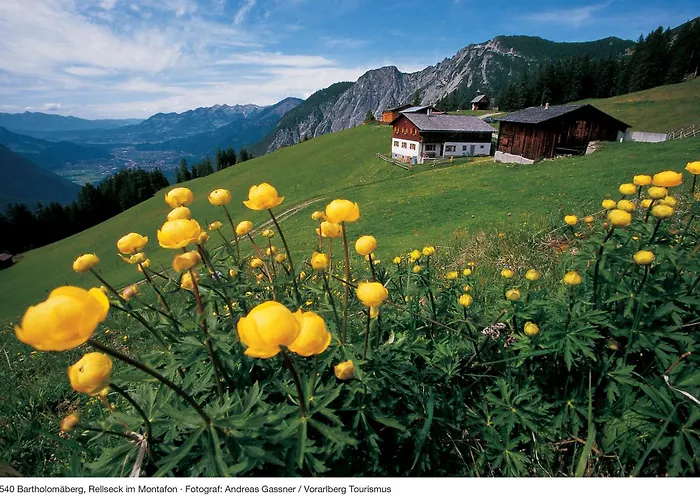 Alpine Lodge Kloesterle Am Arlberg