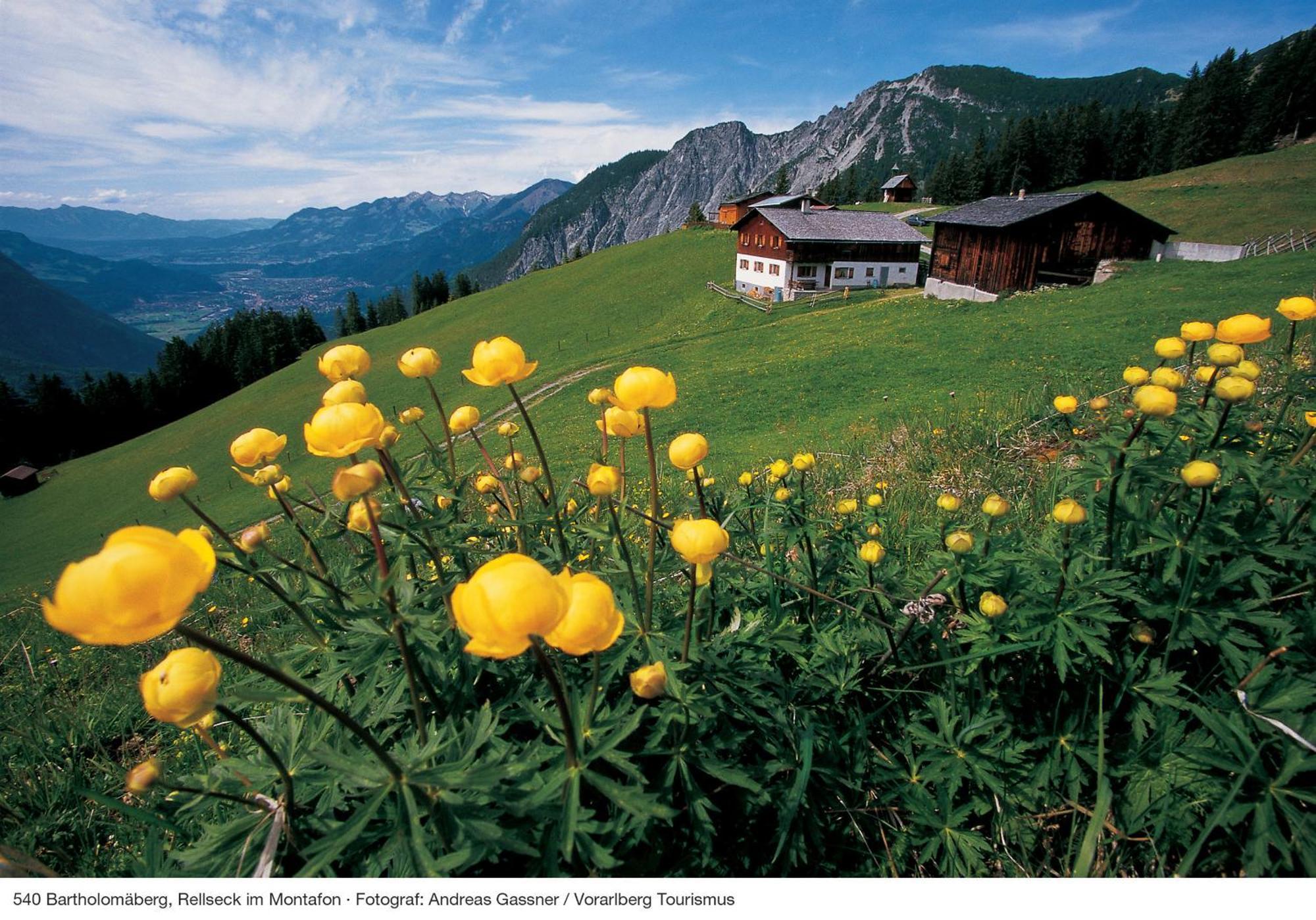 Apartahotel Alpine Am Arlberg Klösterle