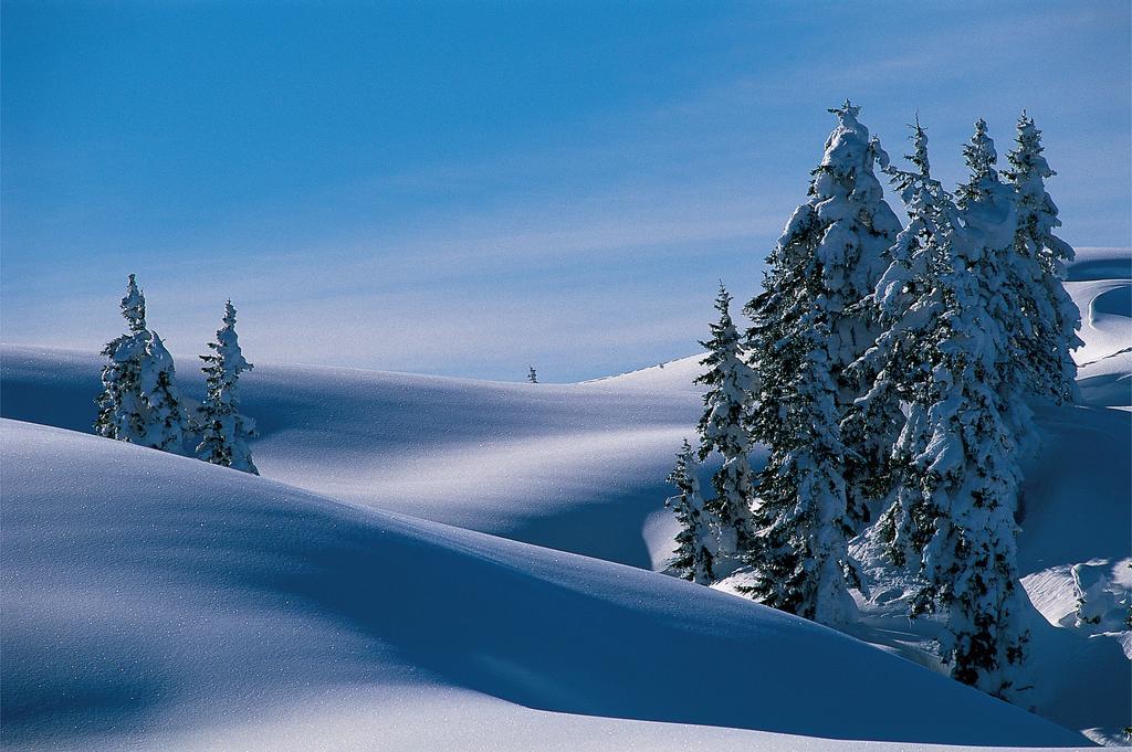 Alpine Am Arlberg 3* Klösterle